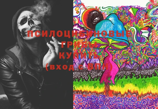 синтетический гашиш Ельня