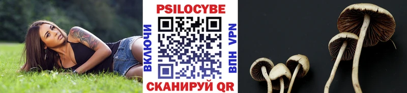 omg tor  Канск  Псилоцибиновые грибы MAGIC MUSHROOMS 