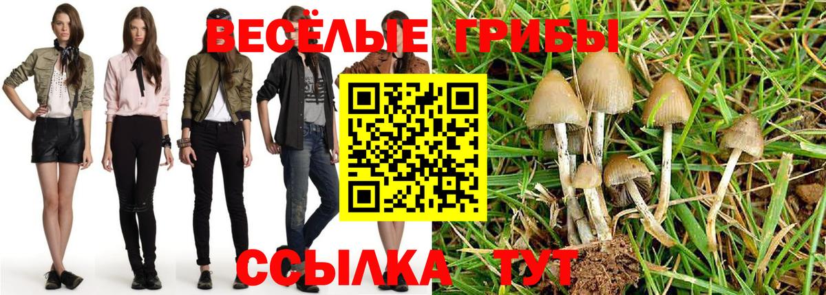 Галлюциногенные грибы GOLDEN TEACHER Канск
