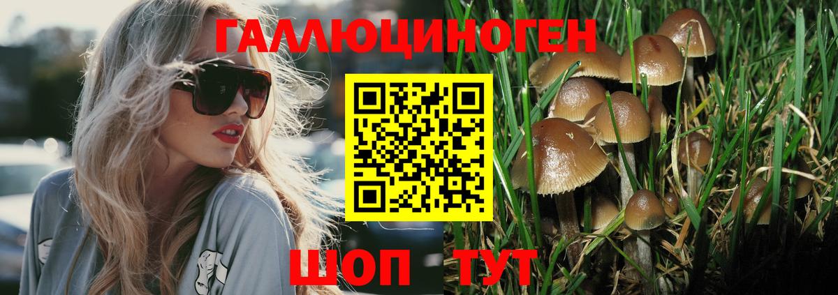 Псилоцибиновые грибы прущие грибы  Псилоцибиновые грибы Magic Shrooms  Вход с VPN  Канск 